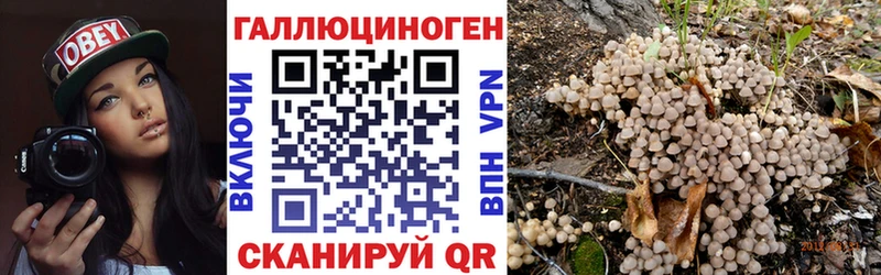 Галлюциногенные грибы мухоморы  Купить закладки  Карталы 